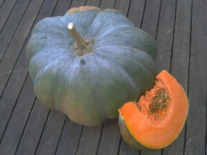 Courge Musquée de Provence (part environ 1kg)